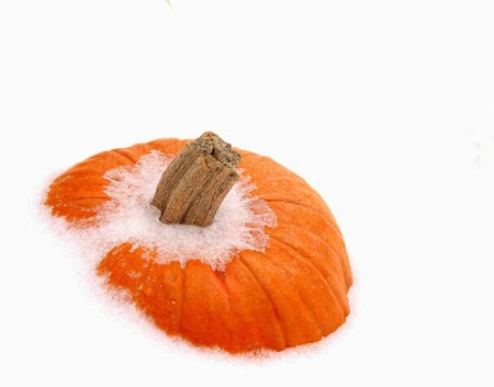 Pumpkin on Ice