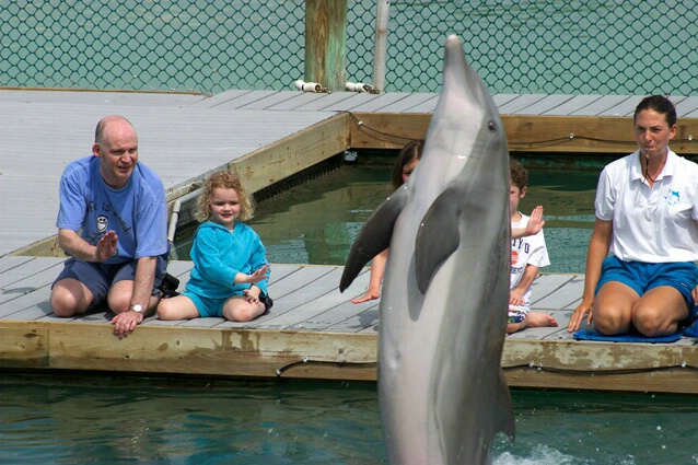 Dolphin does trick for Rebecca and Daddy - ID: 88965 © Sharon E. Lowe