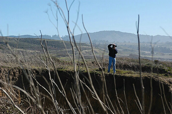 My photographer, f7.1, ISO 200, lens 28-70 at 70.