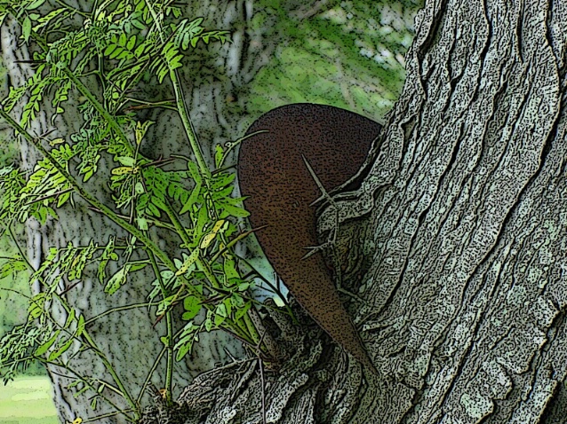 Disk in Tree
