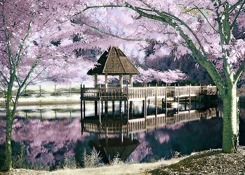 Gazebo in Infrared 
