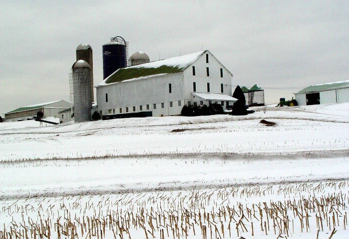 Winter Field - ID: 94487 © John W. Davis