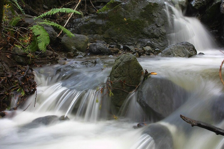 Sylvestri Creek Falls