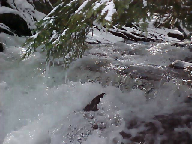 Near the Waterfall