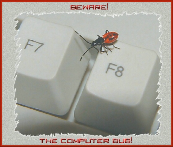 Computer Bug!