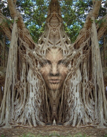 WOOD QUEEN