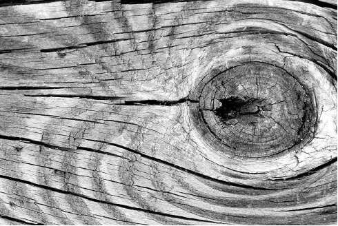 "Closeup of an old piece of wood"