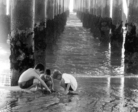 Under the Pier