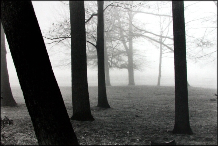 ~Winter Fog~
