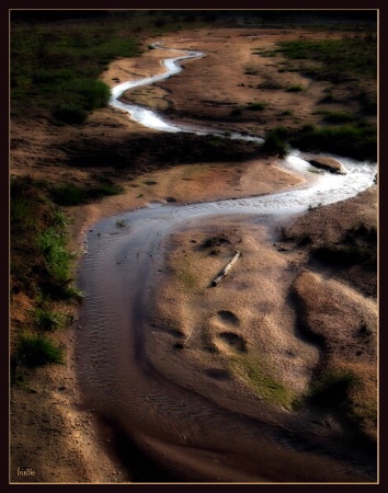 Okawango