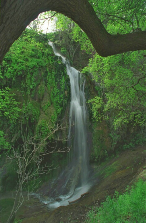 Gorman Falls 1 - ID: 114293 © Greg Harp