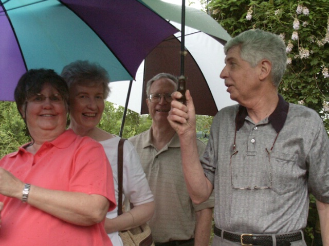Umbrellas!