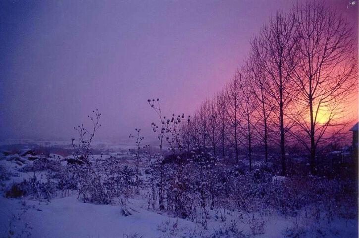 Scenic: "Winter in Ogden"