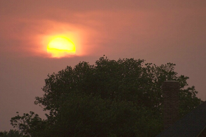 Sunset Silhouette 2 - ID: 117785 © Greg Harp