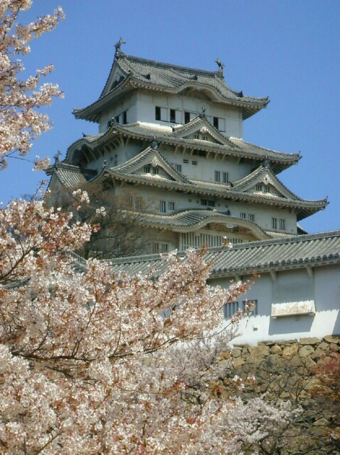 Castle in the Spring