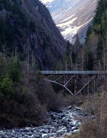 Bridging Time