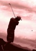 Fly Away