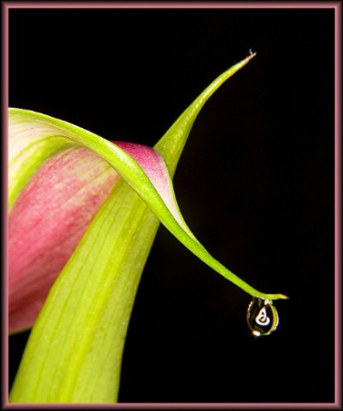 Just A Drop