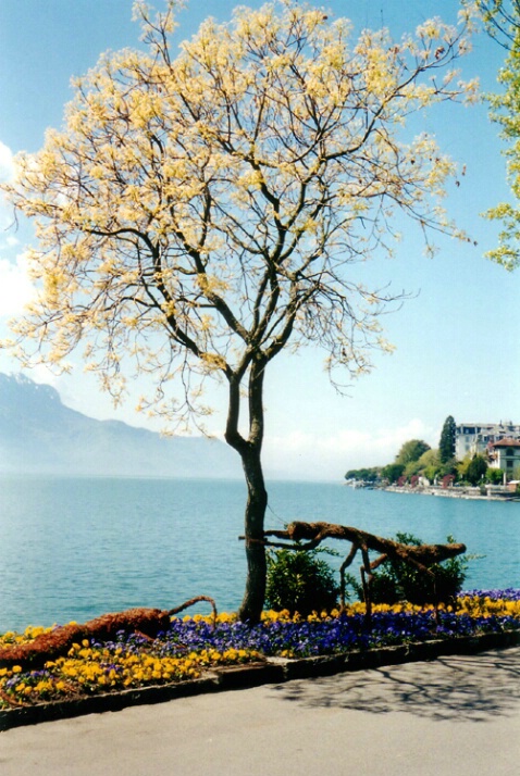 Montreux, Switzerland-4 - ID: 122490 © Hasmik Hatamian