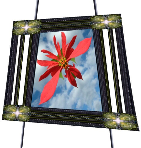 Flying Flower Framed 