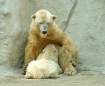 Who wants childre...