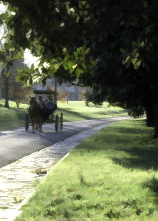 Carriage Ride