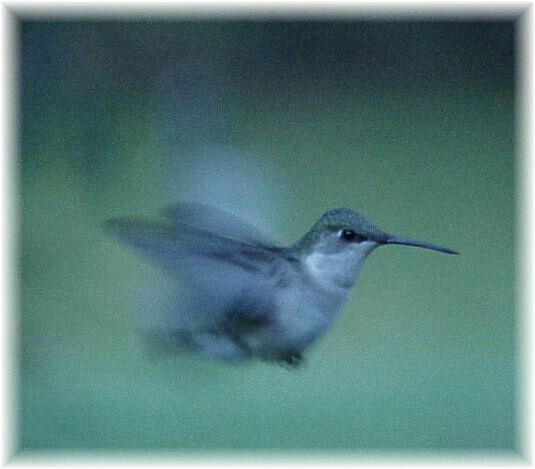 In Flight