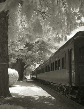 The Old Train