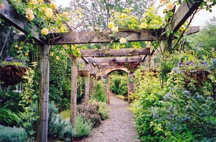 Gardens of the Chalice Well