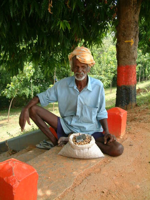 Old Man at Sales for a living