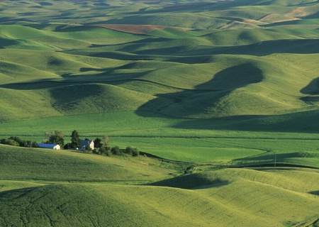 Rolling Hills and Farmhouse, WA