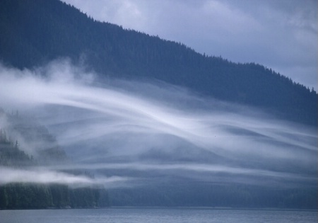 Wisps of Fog, Southeast Alaska