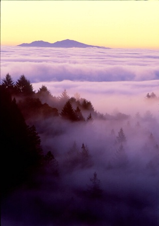 Dawn, Marin County, California