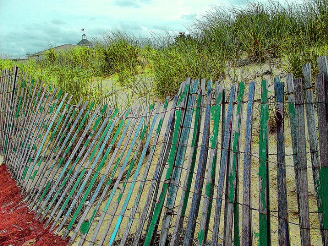 fence line