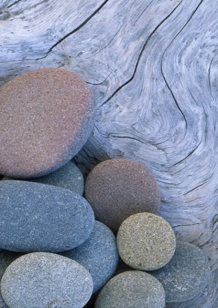Beach Stones, Olympic NP, WA