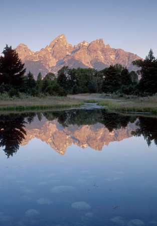The Grand Tetons Reflected