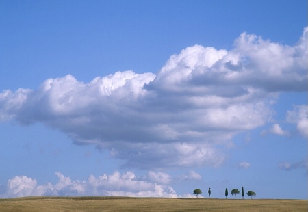 Trees under Clouds, Italy