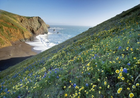 Coastal Spring, California