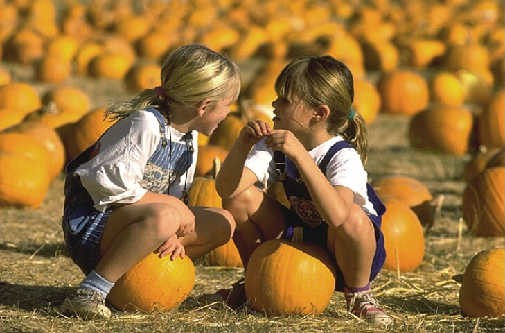 Discussing Pumpkins?!