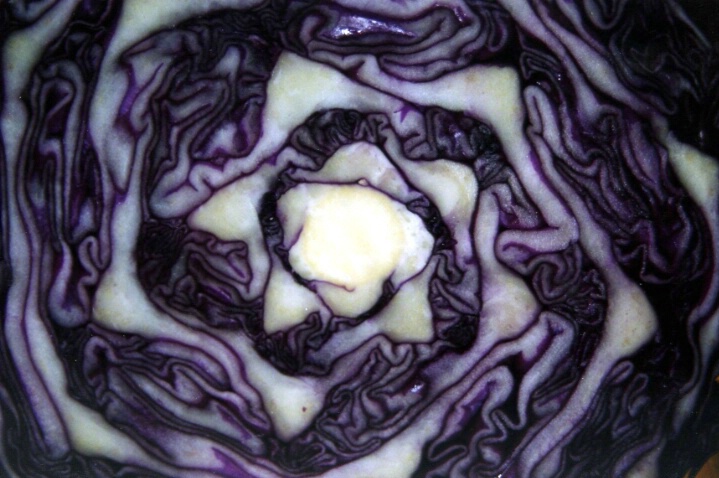 Cabbage Patch Food