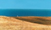 Nexeloe Island, D...