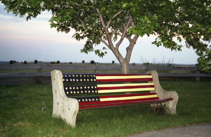 Patriotic Bench