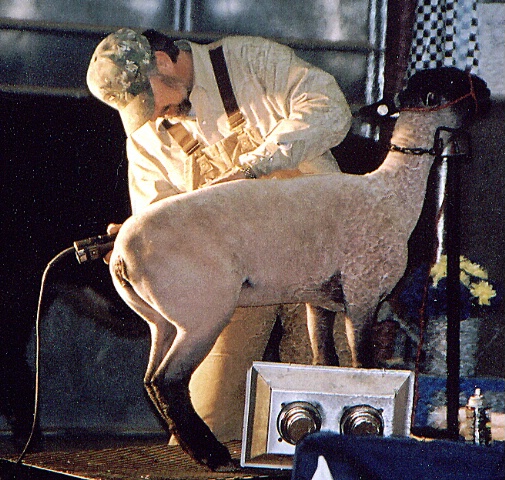 Shearing Time