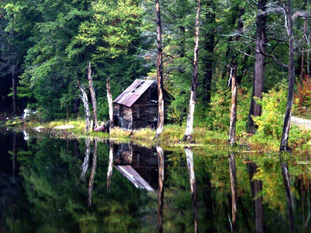 Vermont little house