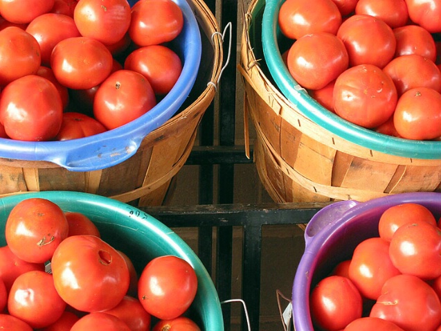 Tomatoes in Color