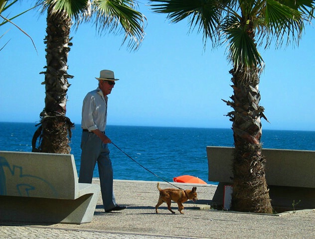 Sea-side walk