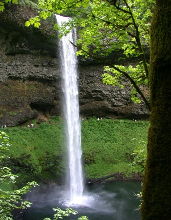 Silver Falls, Oregon