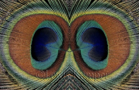 Mirror, Mirror #23