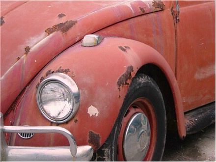 Rusty Bug
