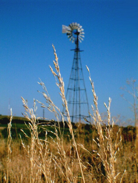 One of the Many Windmills of Kansas